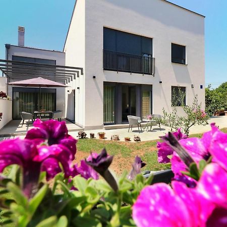 Papillon I Dolce Vita Tar-Vabriga Ngoại thất bức ảnh