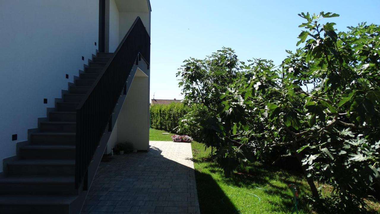 Papillon I Dolce Vita Tar-Vabriga Ngoại thất bức ảnh