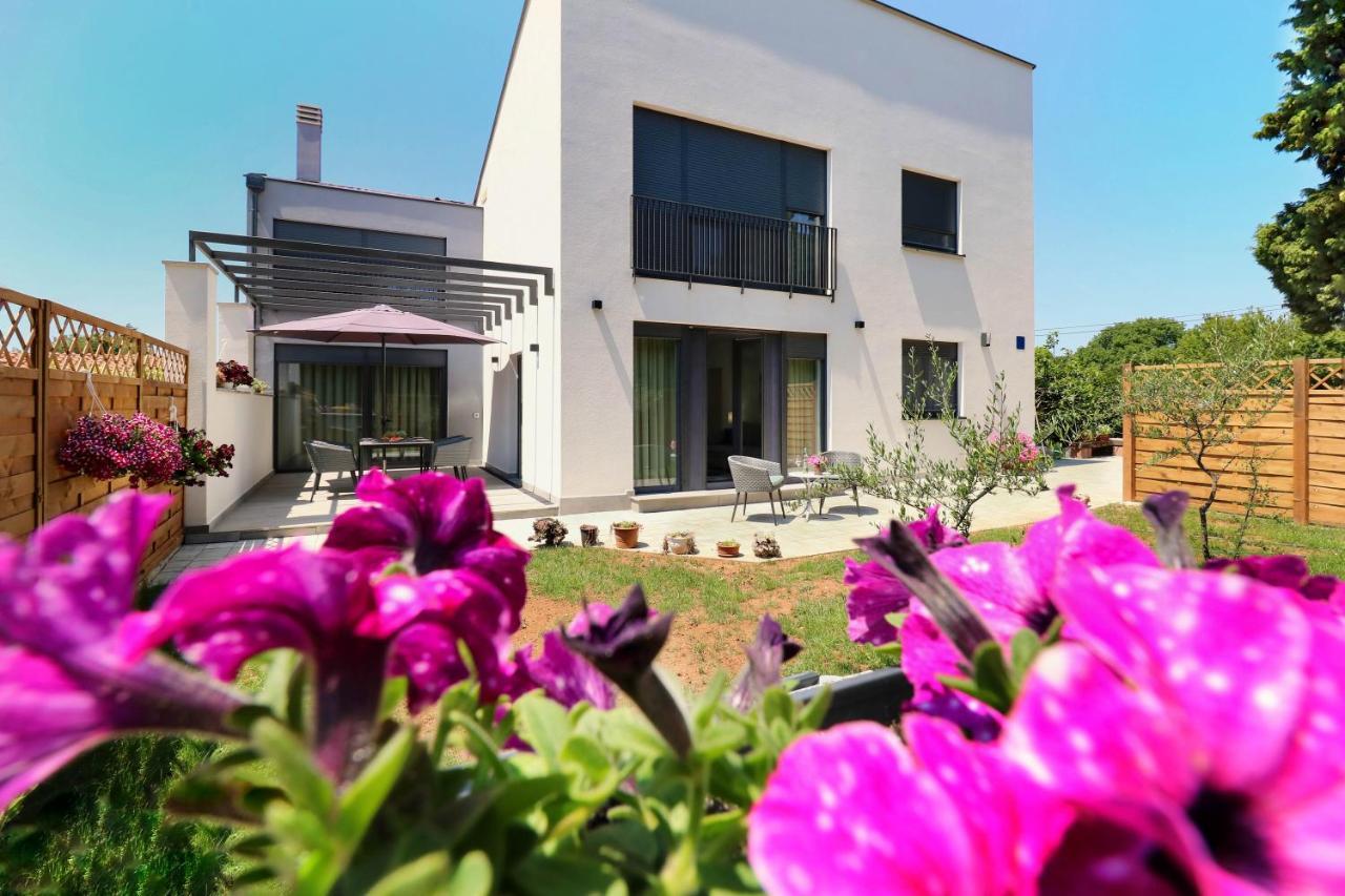 Papillon I Dolce Vita Tar-Vabriga Ngoại thất bức ảnh